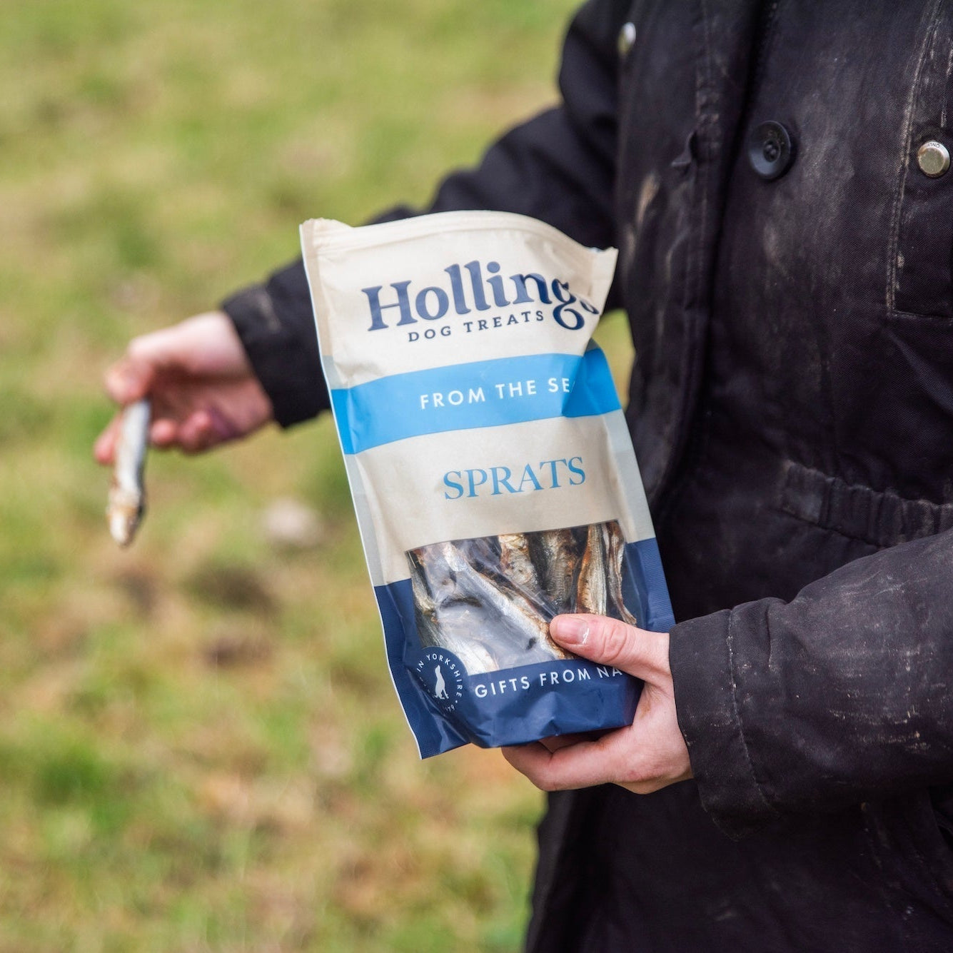 Our Top 5 Affordable Treats to Spoil Your Dog Without Breaking the Bank