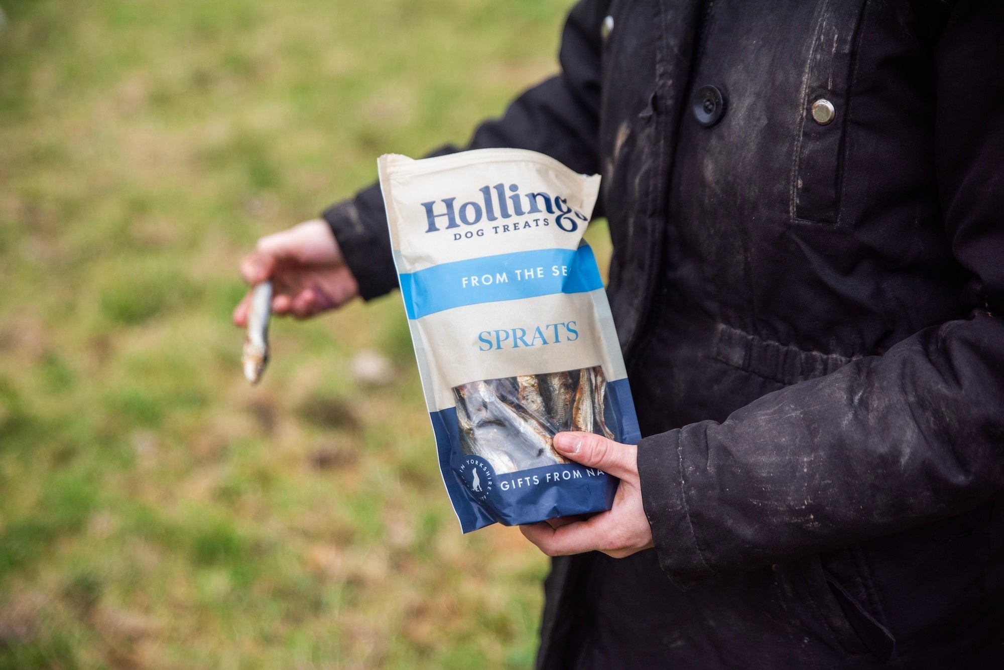 Our Top 5 Affordable Treats to Spoil Your Dog Without Breaking the Bank