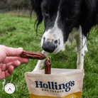 Dog eating a sausage from a pack of Hollings Pork Sausage Treats outdoors.